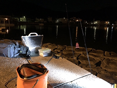 初めての夜釣りに行ってきました