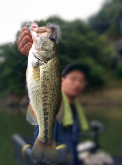 ダムでバス釣り！