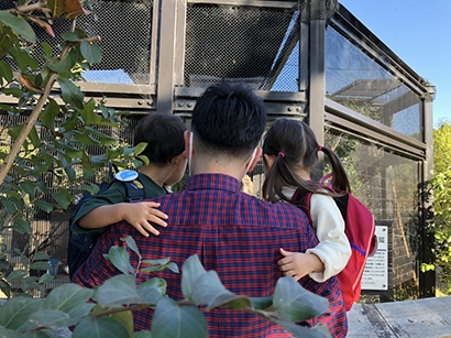 秋してますかー?