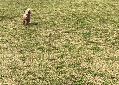 公園でリフレッシュ