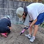 親子で楽しく家庭菜園