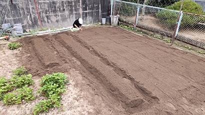 親子で楽しく家庭菜園