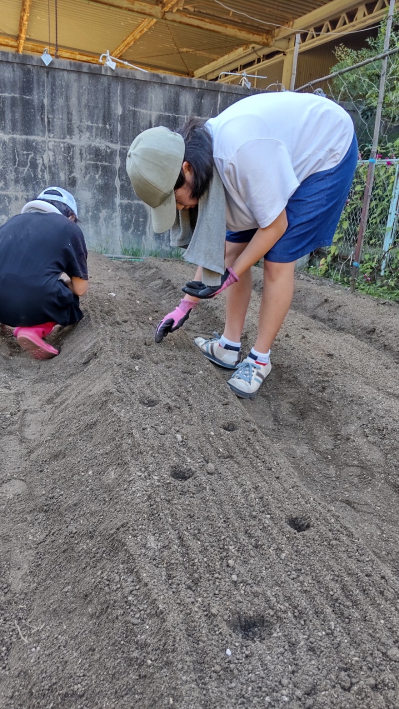 親子で楽しく家庭菜園