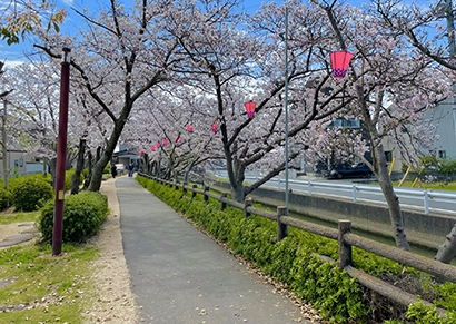 春とは苦いもの