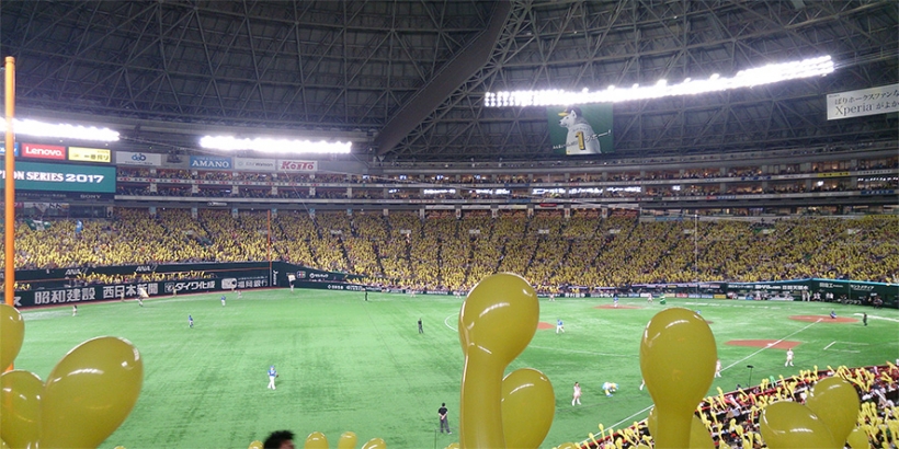 福岡から福井へ！私の元気の源