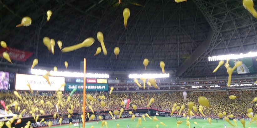 福岡から福井へ！私の元気の源