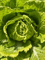 デジタルデトックス