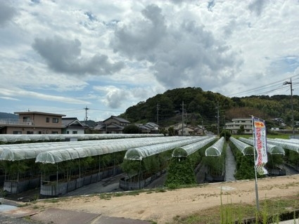 お盆やすみ