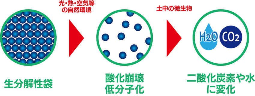 「生分解性袋」